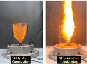 Ammonia Combustion Flames