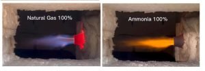 Comparison of Methane and Ammonia flames