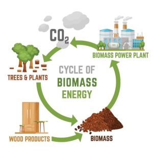 Biomass power plant