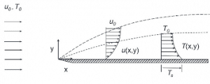 Thermal and momentum boundary layers